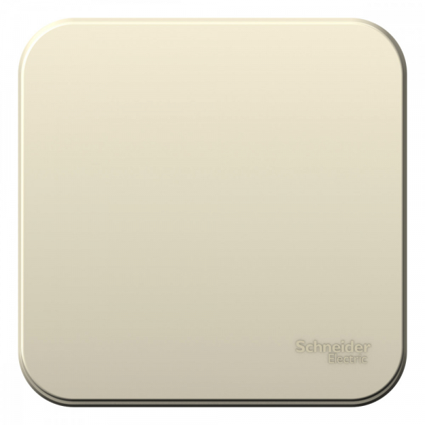 Systeme Electric Blanca наруж Молочный Выключатель 1-клавишный, 10А, 250B