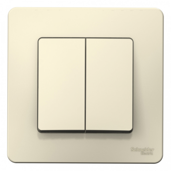 Systeme Electric Blanca внутр Молочный Выключатель 2-клавишный, 10А, 250B