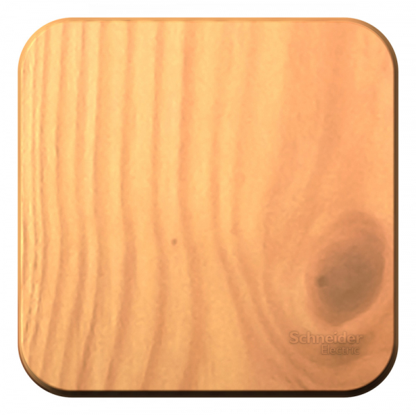 Systeme Electric Blanca наруж Ясень Переключатель 1-клавишный 10А, 250B, изолир. пластина