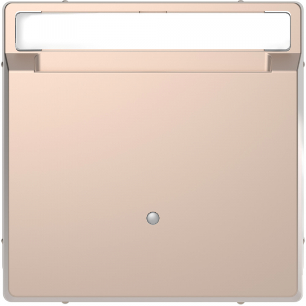 Schneider Electric Merten D-Life Шампань Выключатель с ключюм-картой д/гостиниц