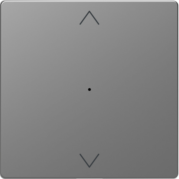 Schneider Electric Merten D-Life Нержавеющая Сталь PlusLink Клавиша 1-ая с символами вх/вз