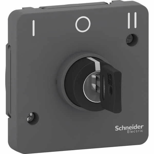 Schneider Electric Mureva Styl Антрацит Переключатель с ключом на 3 положения, 3А, IP55