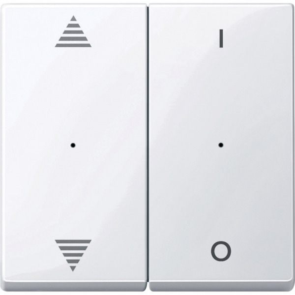 Schneider Electric Merten KNX\EIB SM Актив Бел Клавиша для модуля 2-кнопочного выключателя, с символами ВВ/ВН, 1/0 (MTN619625)