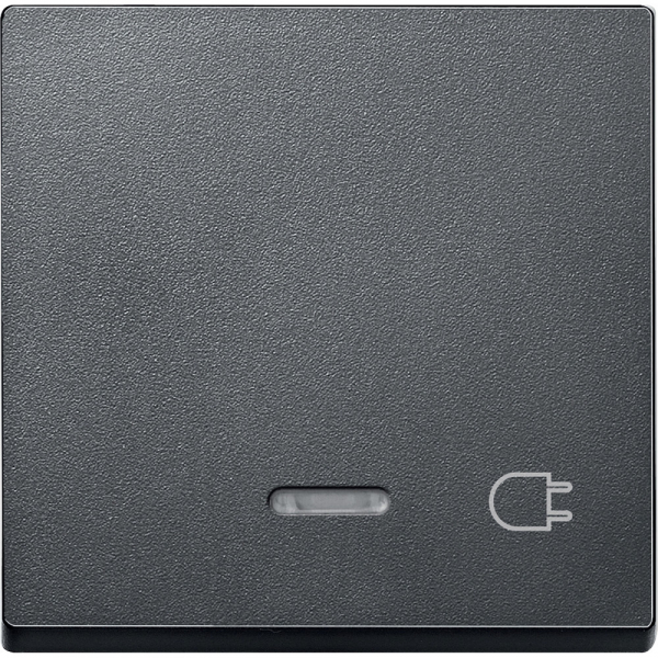 Schneider Electric Merten SM Клавиша со световой индикацией, «гнездо» (MTN431714)