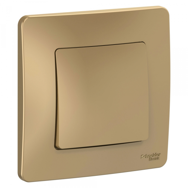 Systeme Electric Blanca внутр Титан Выключатель 1-клавишный, 10А, 250B