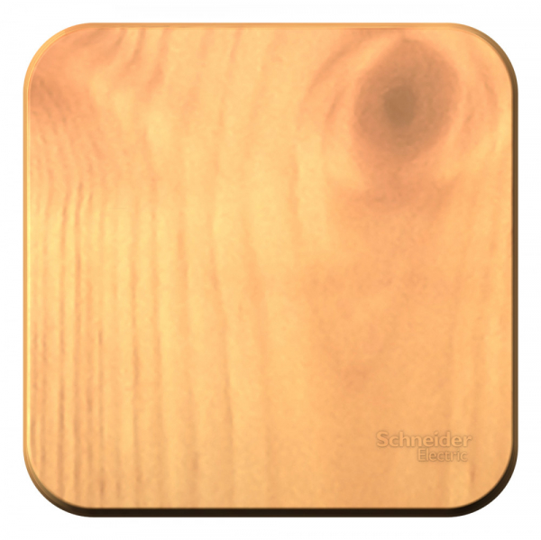 Systeme Electric Blanca наруж Ясень Выключатель 1-клавишный 10А, 250B, изолир. пластина
