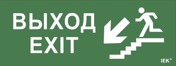 IEK Самоклеющая этик. "Выход/лест. вниз/фигура" ДПА IP20/54 IEK