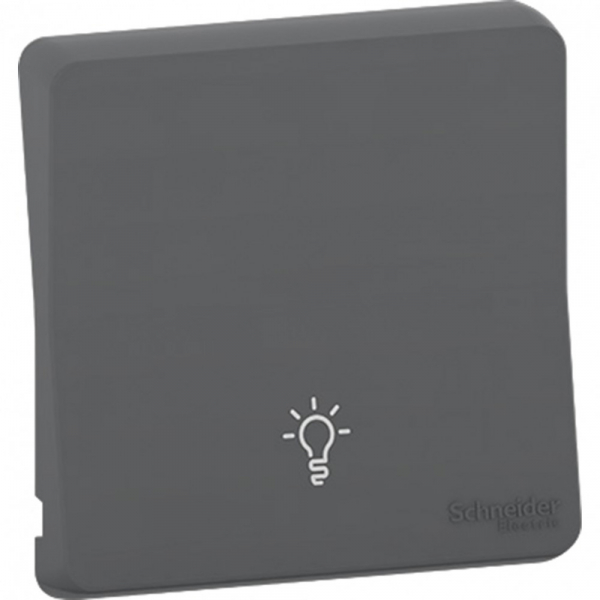 Schneider Electric Mureva Styl Антрацит Клавиша с символом «свет», IP55