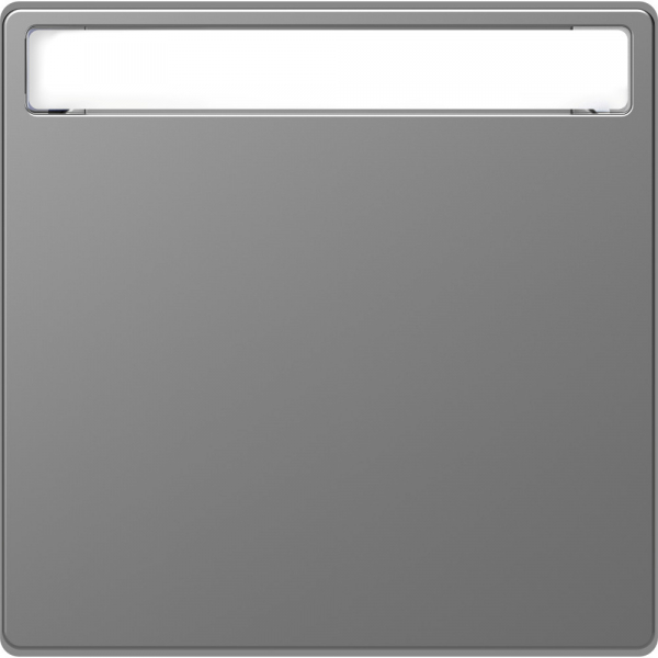 Schneider Electric Merten D-Life Нержавеющая Сталь Клавиша 1-ая с полем для надписи