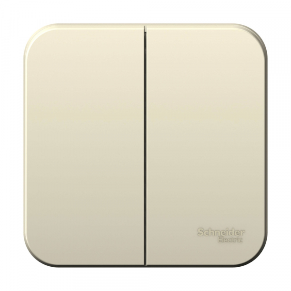 Systeme Electric Blanca наруж Молочный Выключатель 2-клавишный 6А, 250B, изолир. пластина