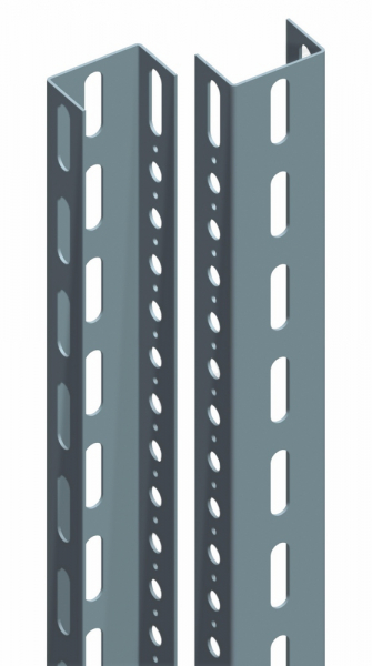Schneider Electric Стандартные вертикальные рейки (2 шт.) 2200мм