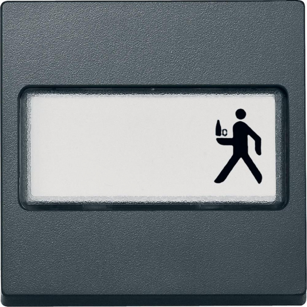 Schneider Electric Merten SM Антрацит Клавиша 1-ая с полем для надписи