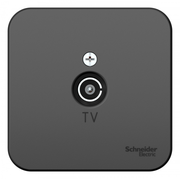 Systeme Electric Blanca наруж Антрацит Розетка TV, изолир. пластина