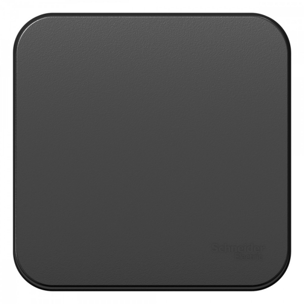 Systeme Electric Blanca наруж Антрацит Выключатель 1-клавишный с самовозвратом, 10А, 250В, изолир. пластина