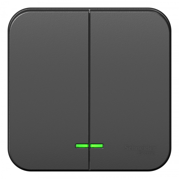 Systeme Electric Blanca наруж Антрацит Выключатель 2-клавишный с подсветкой, 10А, 250B