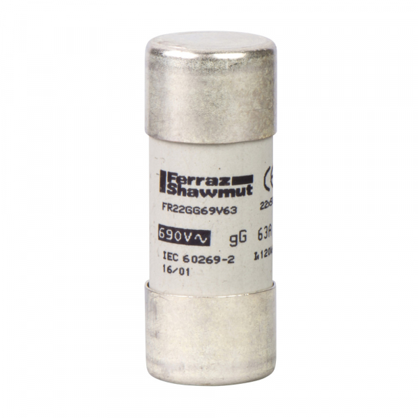 Schneider Electric Предохранитель тип GG, размер 22х58.100А