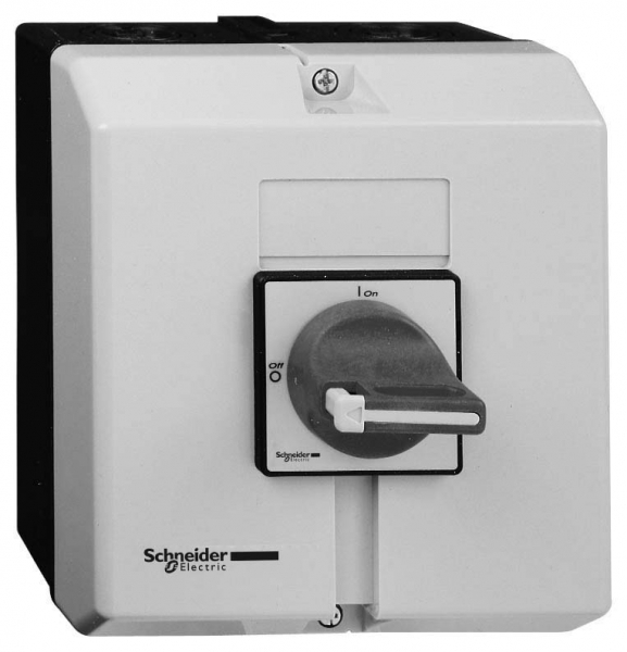 Schneider Electric Vario TeSys Главный аварийный выключатель-разъединитель 3P 63А закрытого исполнения