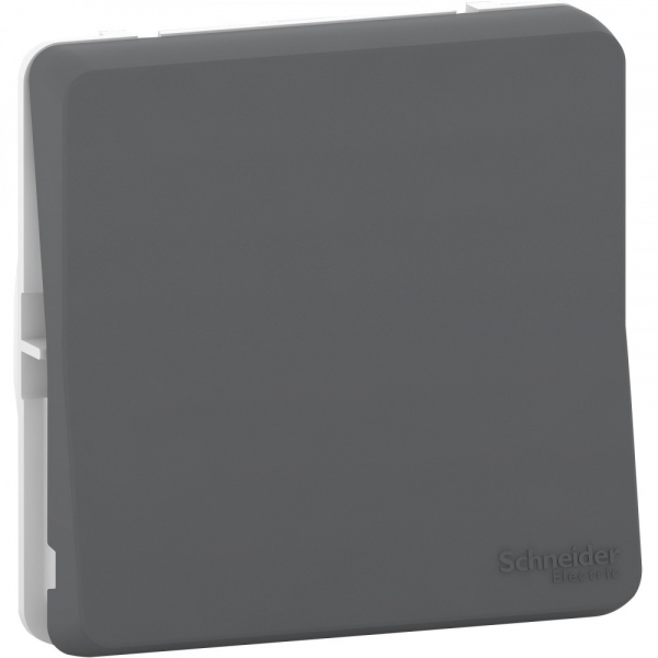 Schneider Electric Mureva Styl Антрацит Переключатель перекрестный, сх.7, IP55