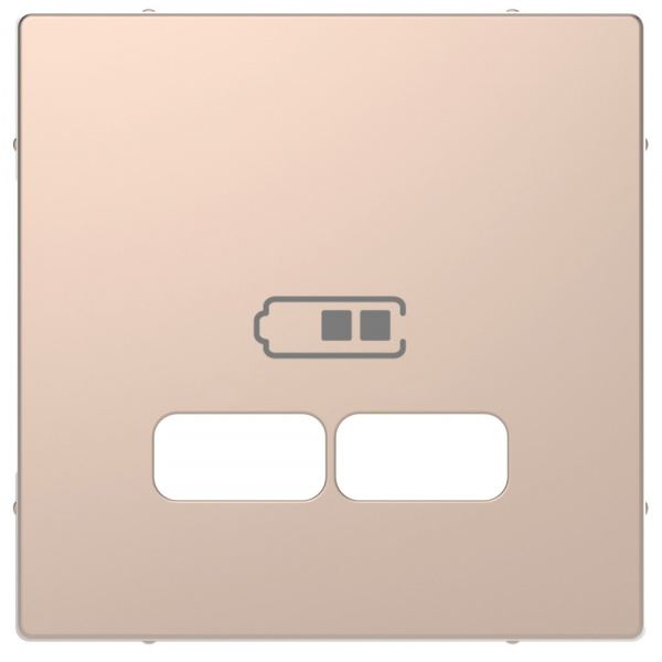 Schneider Electric Merten D-Life Шампань Центральная накладка для USB механизма 2,1А