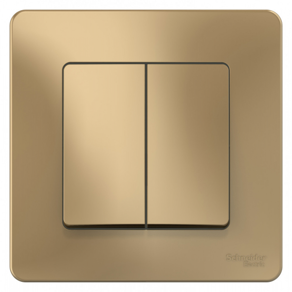 Systeme Electric Blanca внутр Титан Переключатель 2-клавишный, 10А, 250B