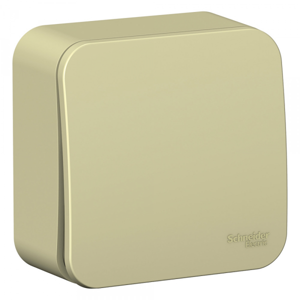 Systeme Electric Blanca наруж Беж Выключатель 1-клавишный (cх.1) изолир. пластина 10А, 250B
