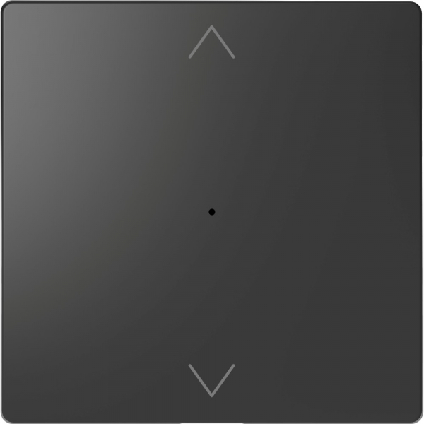 Schneider Electric Merten D-Life Антрацит PlusLink Клавиша 1-ая с символами вх/вз