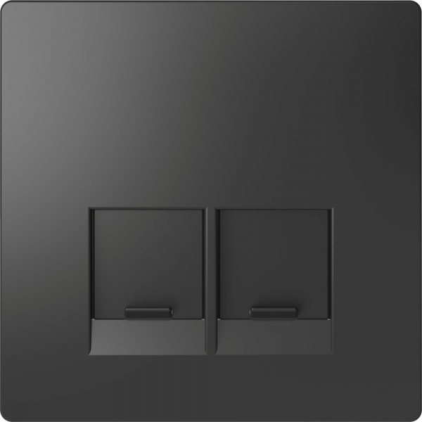 Schneider Electric Merten D-Life Антрацит Накладка центральная для 2-х модульных разъемов, пол. д/надписи