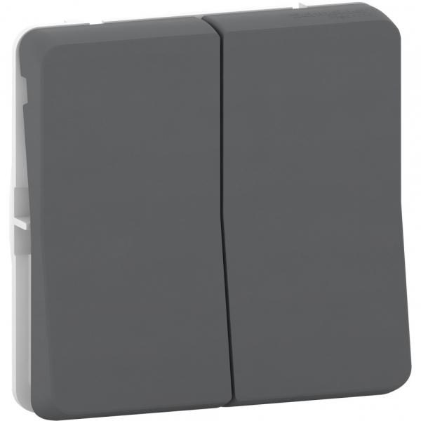 Schneider Electric Mureva Styl Антрацит Переключатель 2-клавишный сх. 6+6, IP55