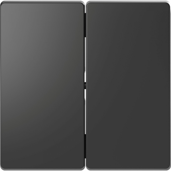 Schneider Electric Merten D-Life Антрацит Клавиша 2-ная