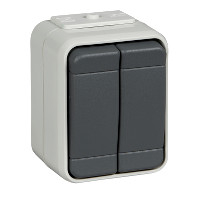 Schneider Electric Aquatop наруж Серый Выключатель 2-клавишный 10А IP44, в сборе