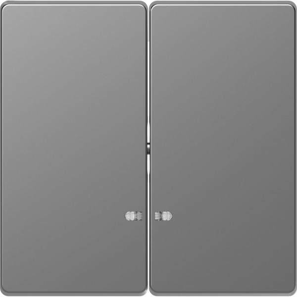 Schneider Electric Merten D-Life Нержавеющая Сталь Клавиша 2-ная с линзой для LED модуля
