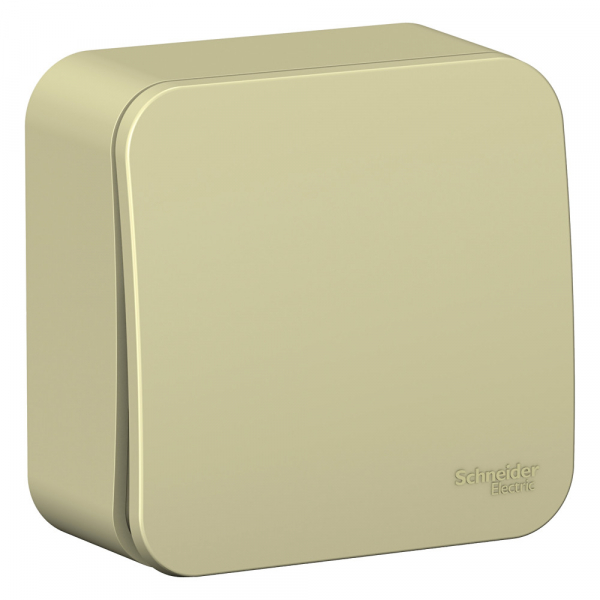 Systeme Electric Blanca наруж Беж Переключатель 1-клавишный (cх.6) изолир. пластина 10А, 250B