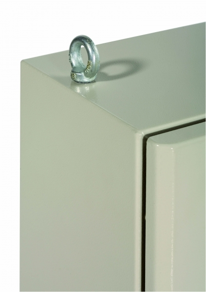 Schneider Electric Sarel Комплект рым-болтов (2шт) М8