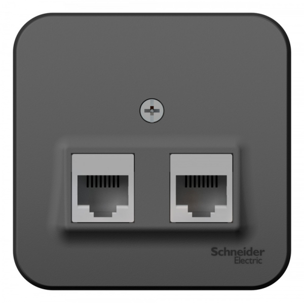 Systeme Electric Blanca наруж Антрацит Розетка 2-ая компьютерная RJ45, кат.5E, изол. пластина