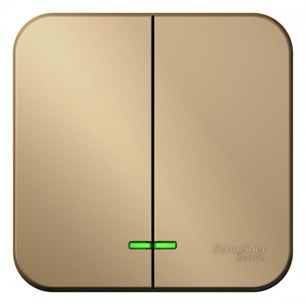 Systeme Electric Blanca наруж Титан Выключатель 2-клавишный , 10А, 250B