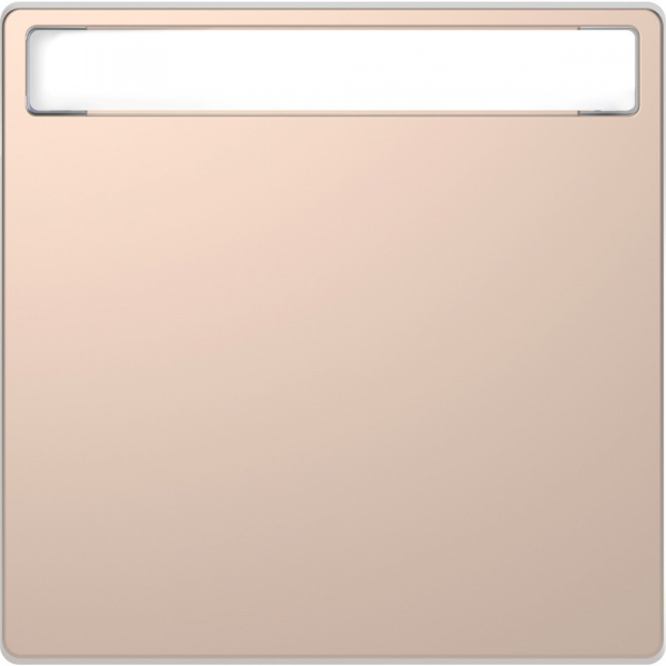 Schneider Electric Merten D-Life Шампань Клавиша 1-ая с полем д/надписи