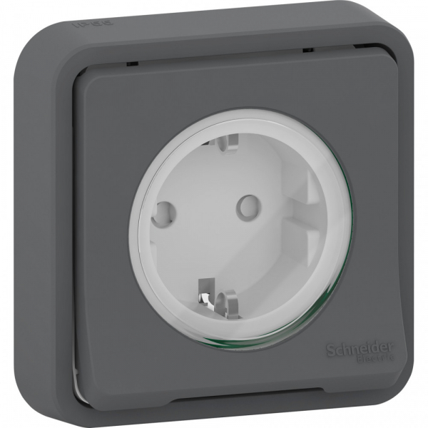 Schneider Electric Mureva Styl внутр Антрацит Розетка с/з и шторками, IP55