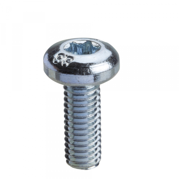 Schneider Electric Sarel Винт TORX T30 (M6x16)