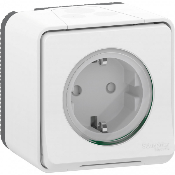 Schneider Electric Mureva Styl наруж Бел Розетка с/з и шторками, винт. клеммы, IP55