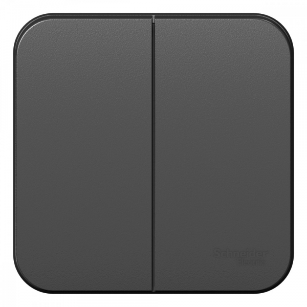 Systeme Electric Blanca наруж Антрацит Выключатель 2-клавишный 10А, 250B, изолир. пластина