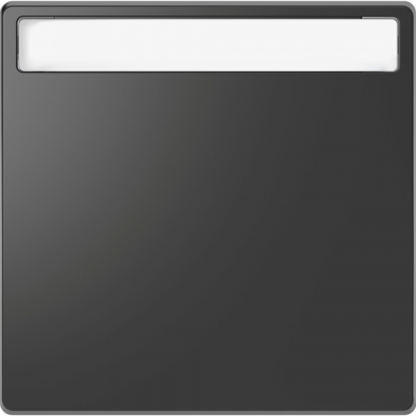 Schneider Electric Merten D-Life Антрацит Клавиша 1-ая с полем д/надписи