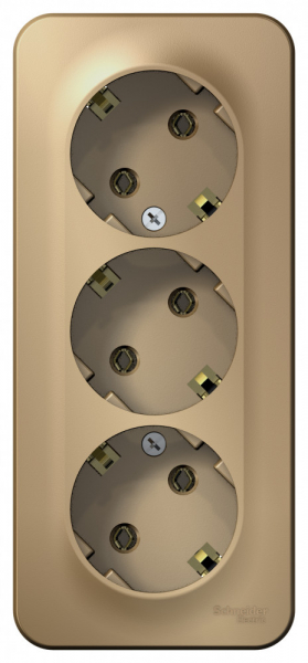Systeme Electric Blanca наруж Титан Розетка 3-ая с/з без шторок 16А, 250В, изолир. пластина