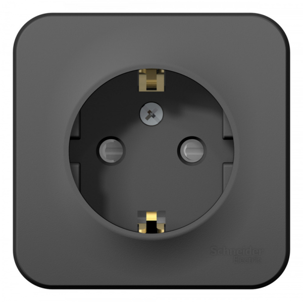 Systeme Electric Blanca наруж Антрацит Розетка с/з со шторками, 16А, 250В