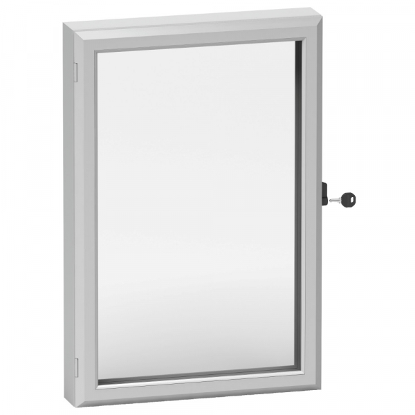 Schneider Electric Дверное окно IP55 600x500мм