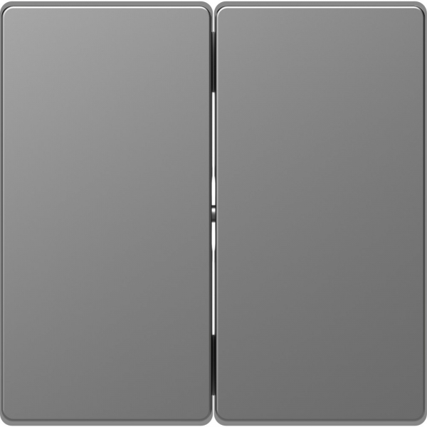 Schneider Electric Merten D-Life Нержавеющая Сталь Клавиша 2-ная