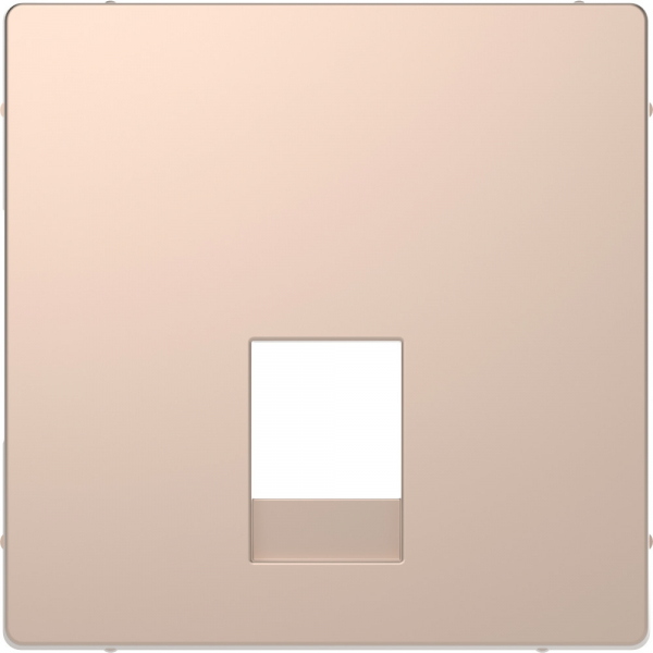 Schneider Electric Merten D-Life Шампань Накладка центральная для розетки 2-ной RJ11/RJ12
