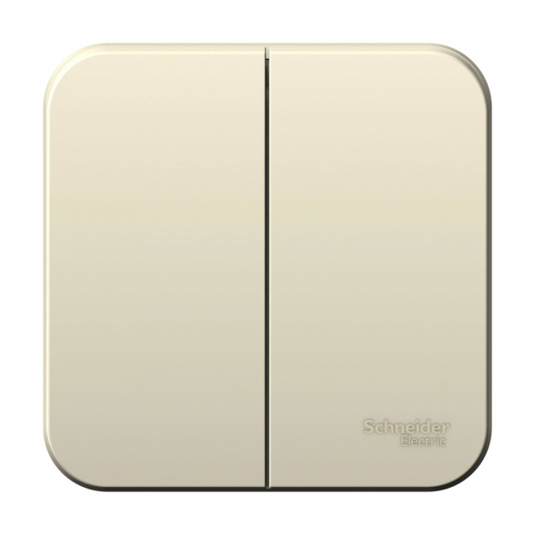 Systeme Electric Blanca наруж Молочный Выключатель 2-клавишный 10А, 250B, изолир. пластина