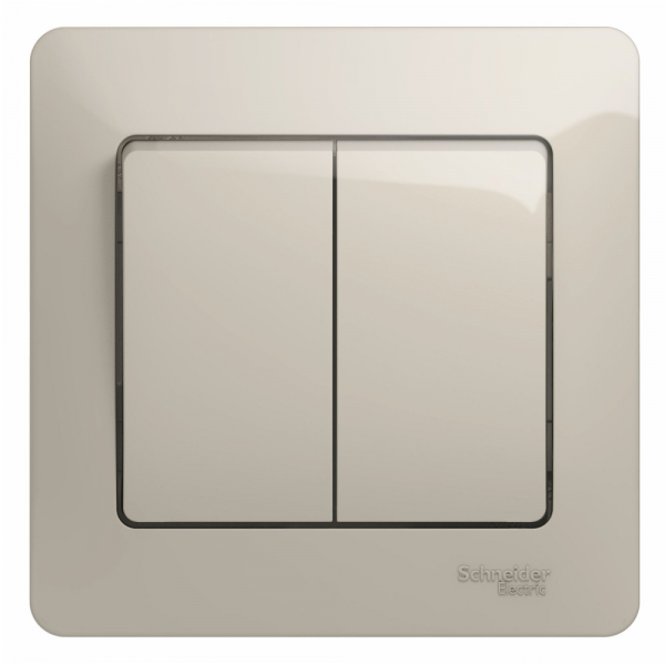 Systeme Electric Glossa Молочный Выключатель 2-клавишный, сх.5, 10AX (в сборе)