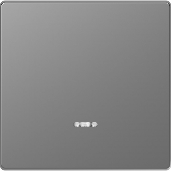 Schneider Electric Merten D-Life Нержавеющая Сталь Клавиша 1-ная с линзой для LED модуля