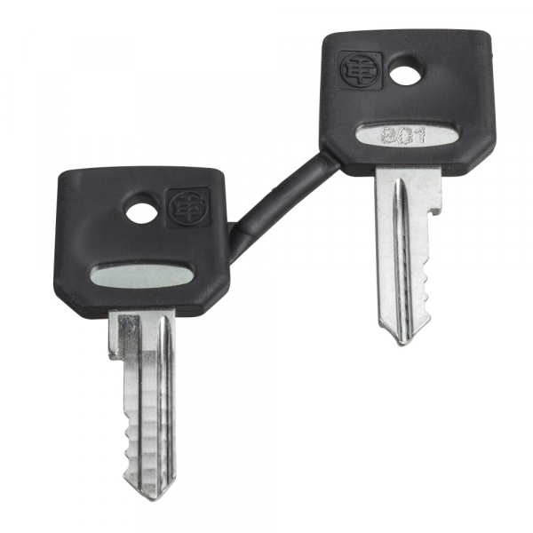 Schneider Electric XB5 Комплект ключей N\ 458A
